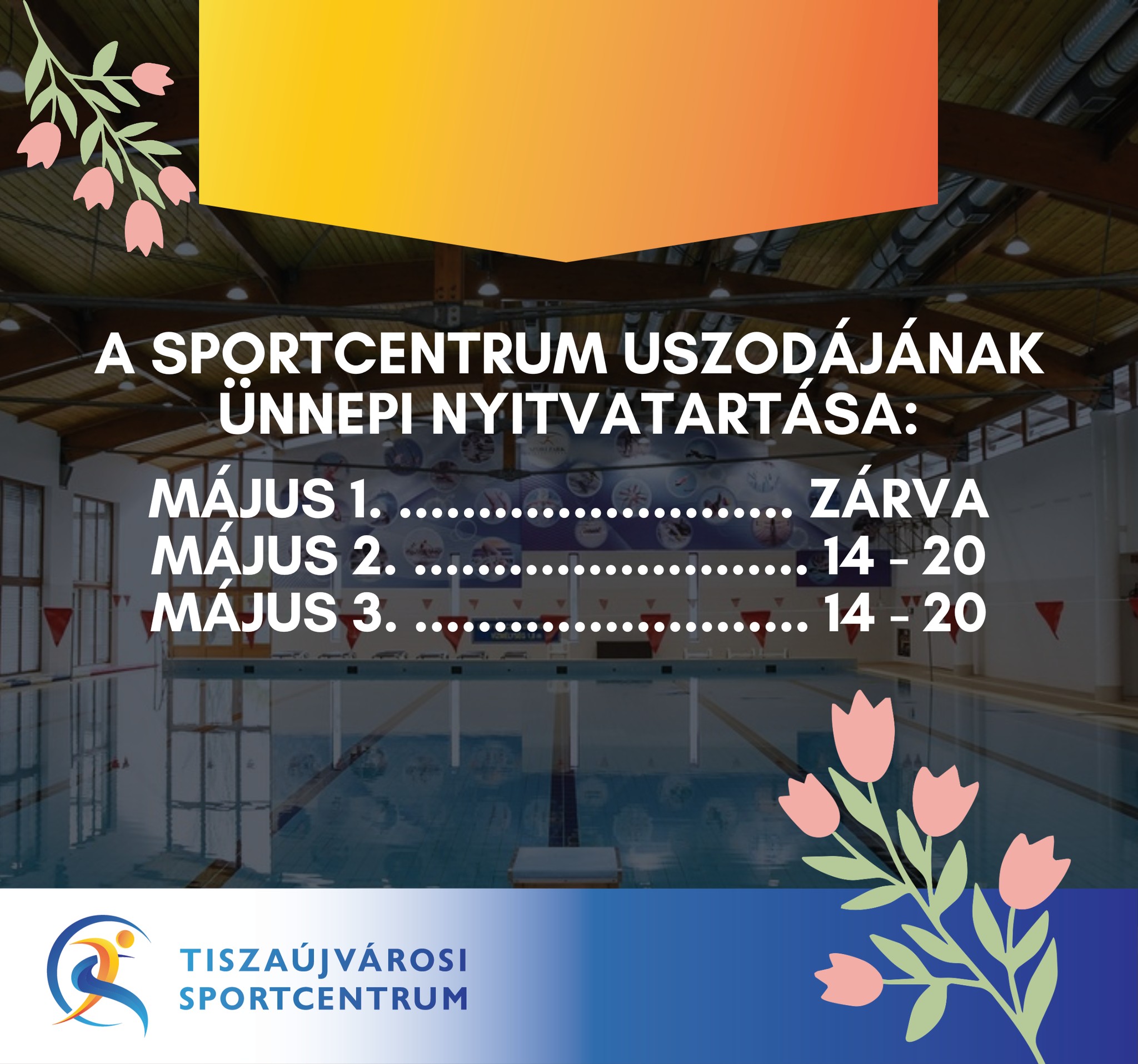 683406270 1561854459274565 6853501355889754840 n